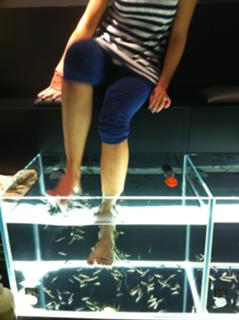 Josephine Bornebusch feet photo 1
