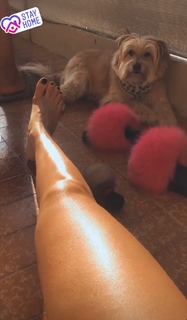 Josephine Wendel feet photo thumbnail