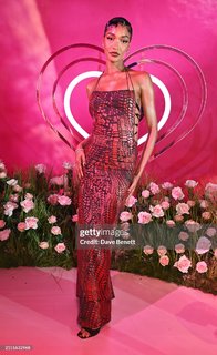 Jourdan Dunn feet photo 13