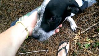 Joyce Ilg feet photo thumbnail