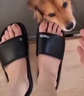 Joyce Ilg feet photo thumbnail