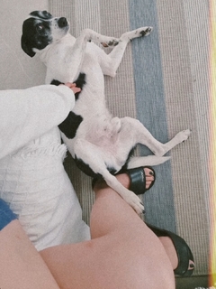 Joyce Ilg feet photo thumbnail