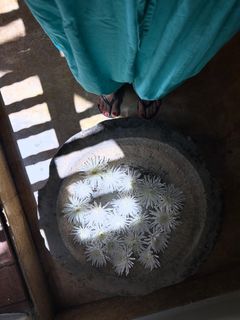 Juana Acosta feet photo 4