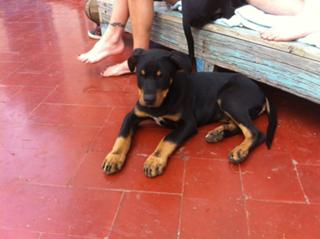 Juana Viale feet photo 7