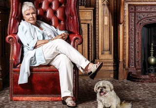 Judi Dench feet photo 3