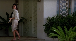 Judie Aronson feet photo 10