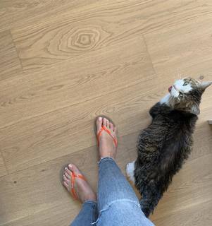 Judith Rakers feet photo thumbnail