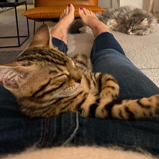 Judith Rakers feet photo thumbnail