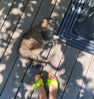 Judith Rakers feet photo thumbnail
