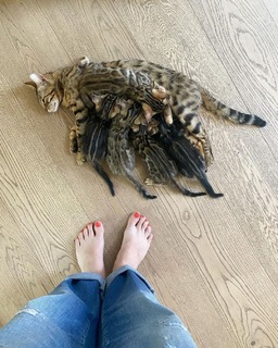 Judith Rakers feet photo thumbnail