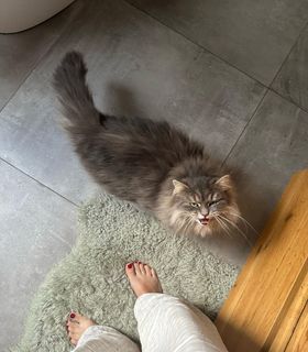 Judith Rakers feet photo thumbnail