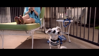 Judy Greer feet photo thumbnail