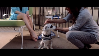 Judy Greer feet photo thumbnail