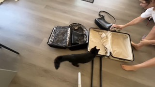 Jules LeBlanc feet photo thumbnail