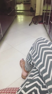 Julia Fljat feet photo 14