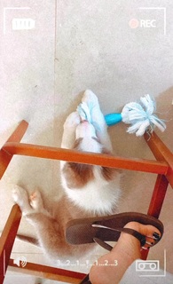 Julia Foti feet photo 19