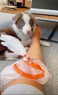 Julia Foti feet photo 18