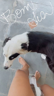Julia Foti feet photo 8
