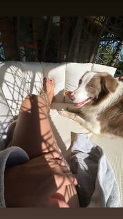 Julia Foti feet photo 3