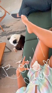 Julia Foti feet photo 6