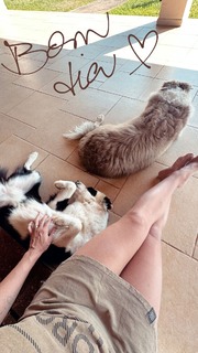 Julia Foti feet photo 7