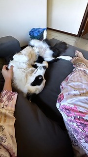 Julia Foti feet photo 1