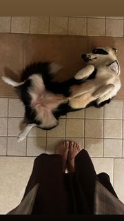 Julia Foti feet photo 12