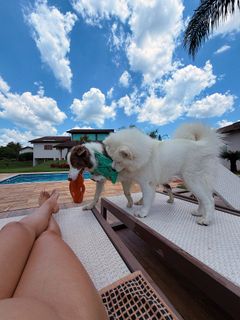 Julia Foti feet photo 12