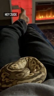 Julia Hart feet photo 19