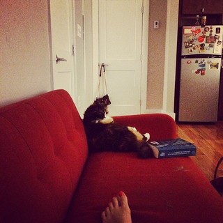 Julia Ioffe feet photo 11