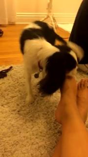 Julia Kelly feet photo thumbnail