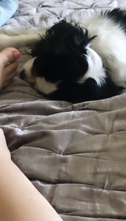 Julia Kelly feet photo thumbnail