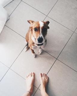 Julia Konrad feet photo 16
