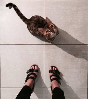 Julia Konrad feet photo 18