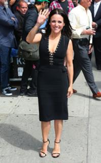 Julia Louis-Dreyfus feet photo thumbnail