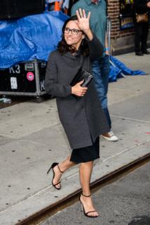 Julia Louis-Dreyfus feet photo thumbnail