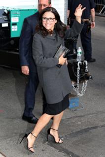 Julia Louis-Dreyfus feet photo thumbnail