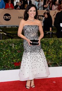 Julia Louis-Dreyfus feet photo thumbnail