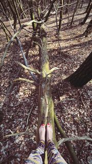 Julia Pietrucha feet photo 4