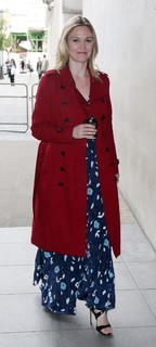 Julia Stiles feet photo thumbnail