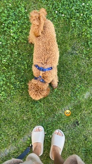 Julia Wieniawa-Narkiewicz feet photo thumbnail