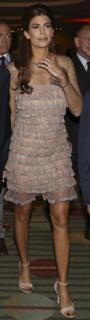 Juliana Awada feet photo 14