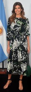Juliana Awada feet photo 2