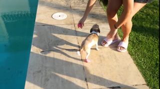 Juliana Baltar feet photo 11