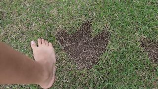 Juliana Baltar feet photo 13