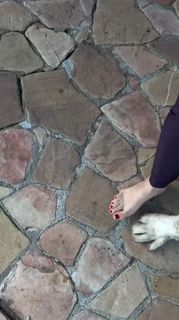 Juliana Baroni feet photo 8