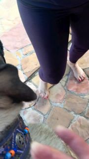 Juliana Baroni feet photo 2