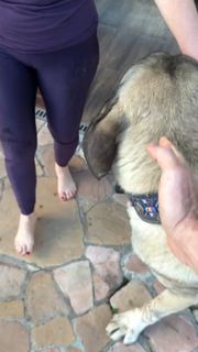 Juliana Baroni feet photo 1