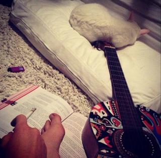 Juliana Didone feet photo thumbnail