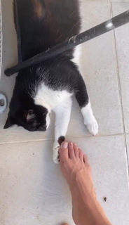 Juliana Didone feet photo thumbnail